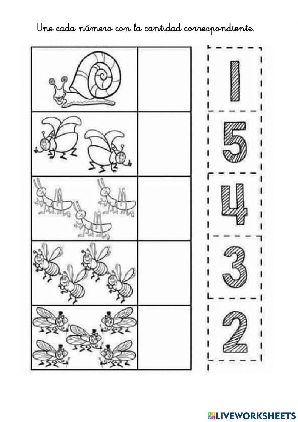 Cantidades numericas