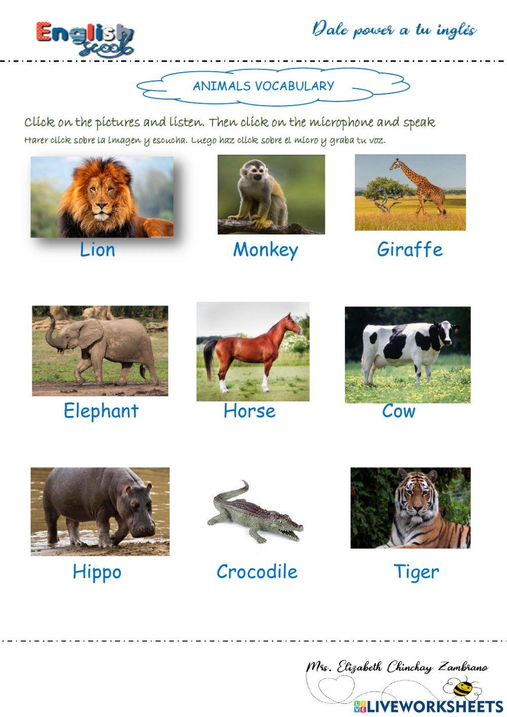 Animals vocabulary