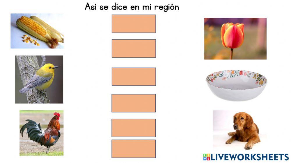 Así se dice en mi región