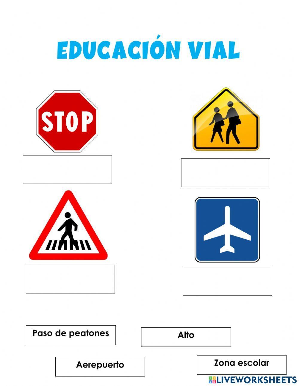 Educación vial