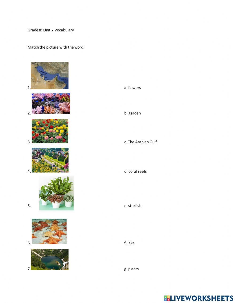 vocabulary-practice-online-pdf-worksheet-live-worksheets