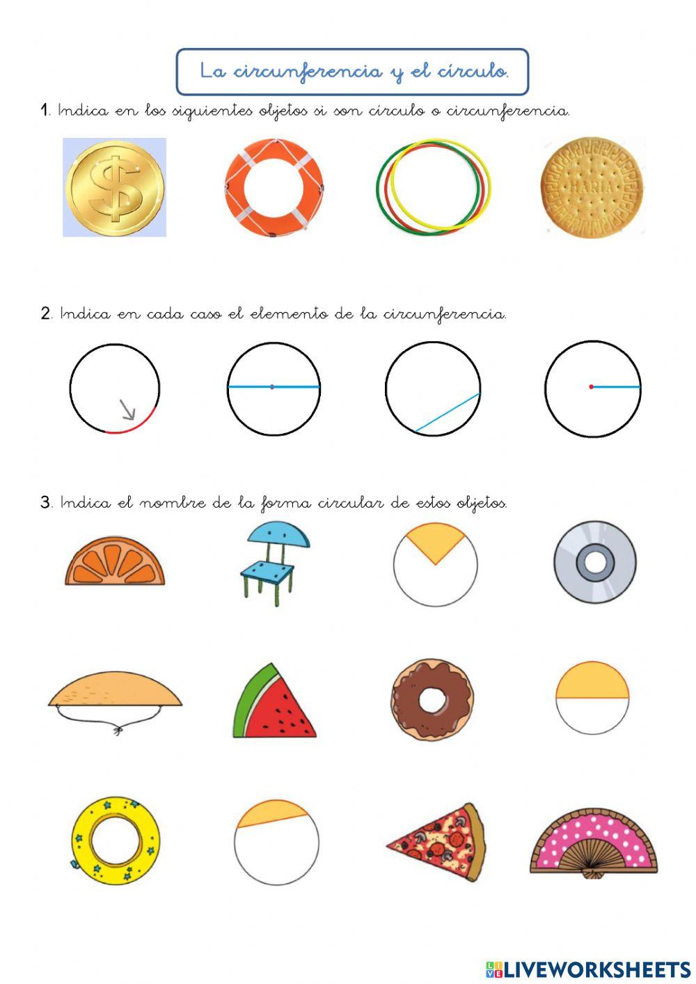 Círculo y circunferencia