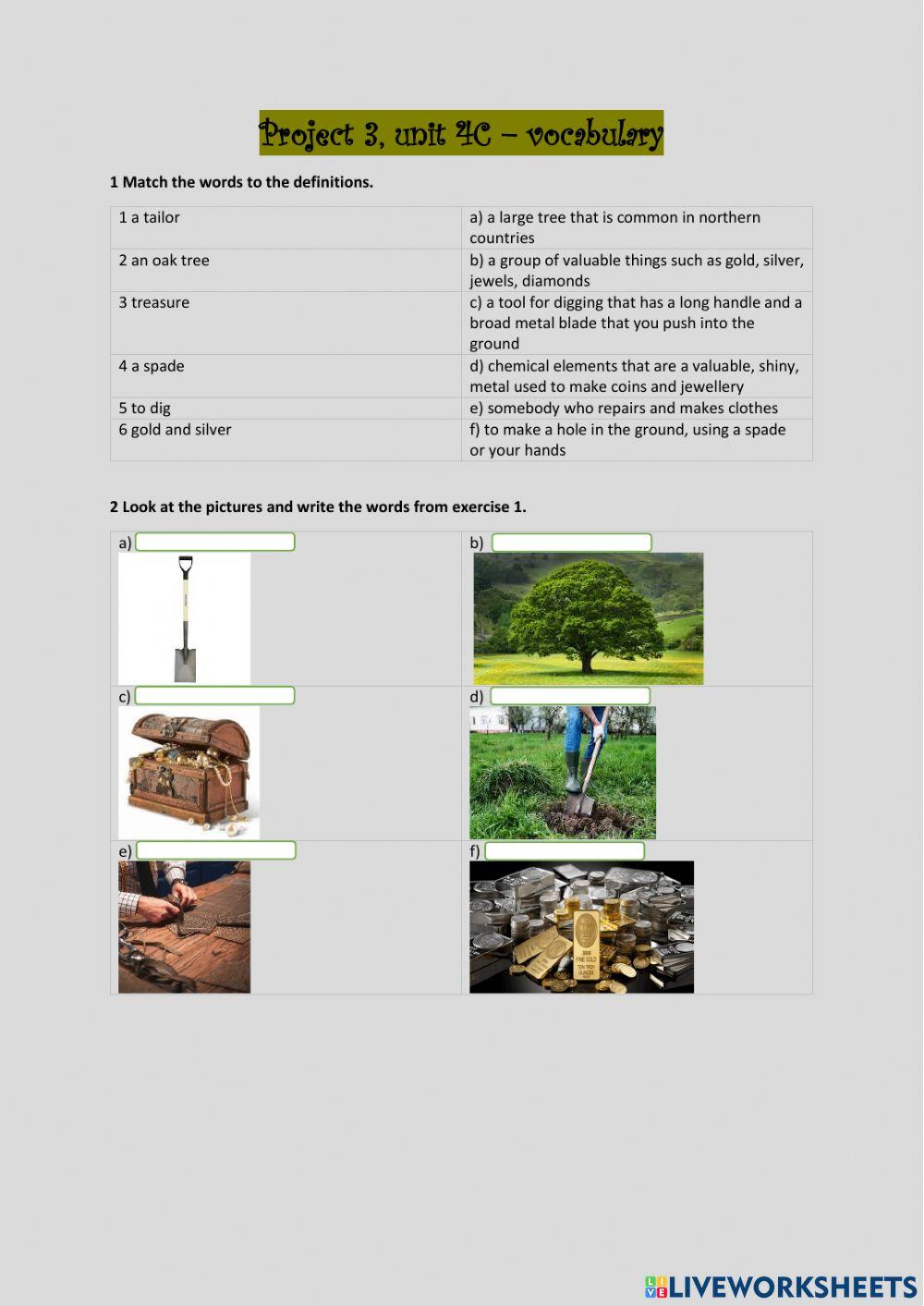 Project Unit 4C vocabulary