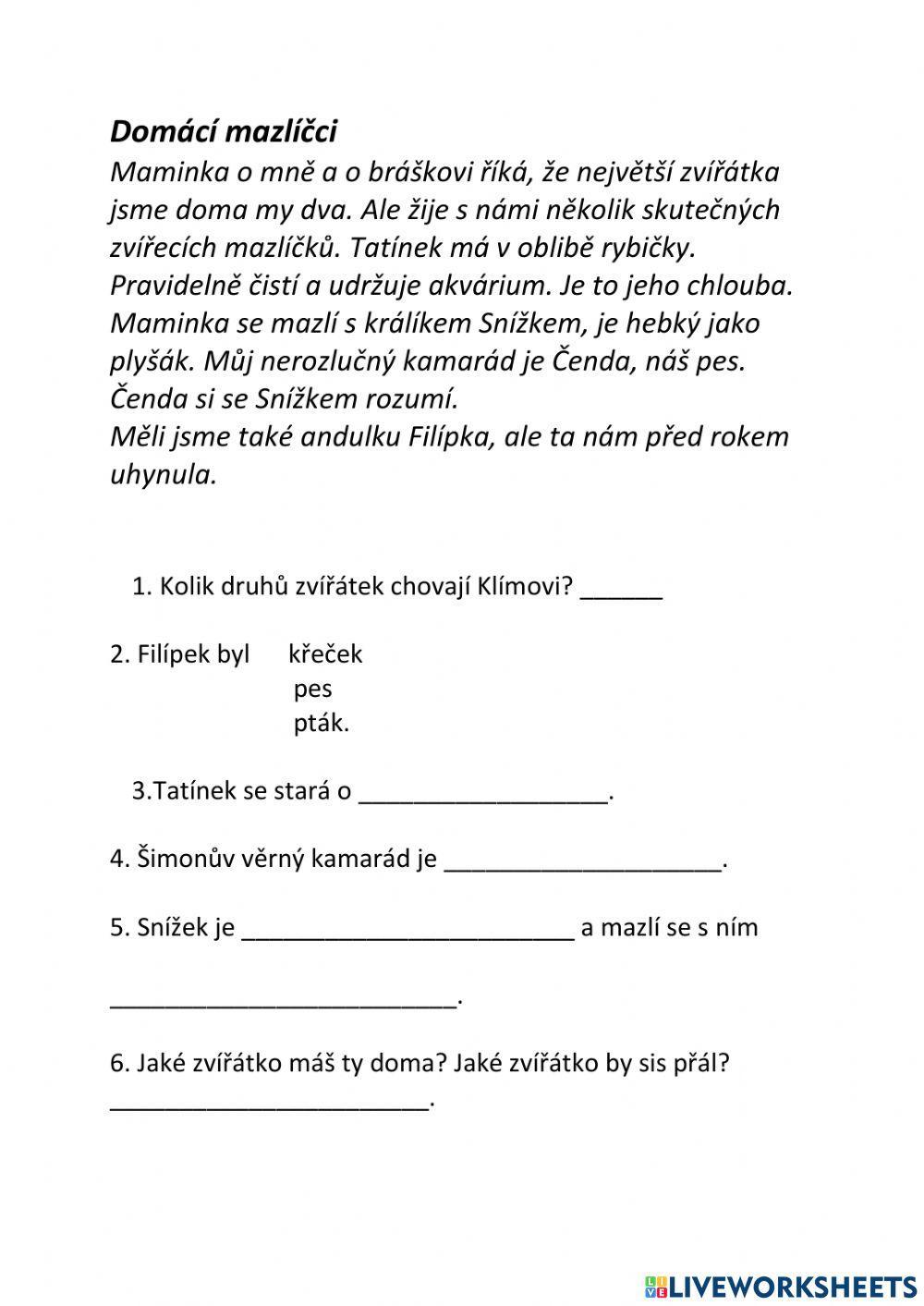 Čtení s porozuměním