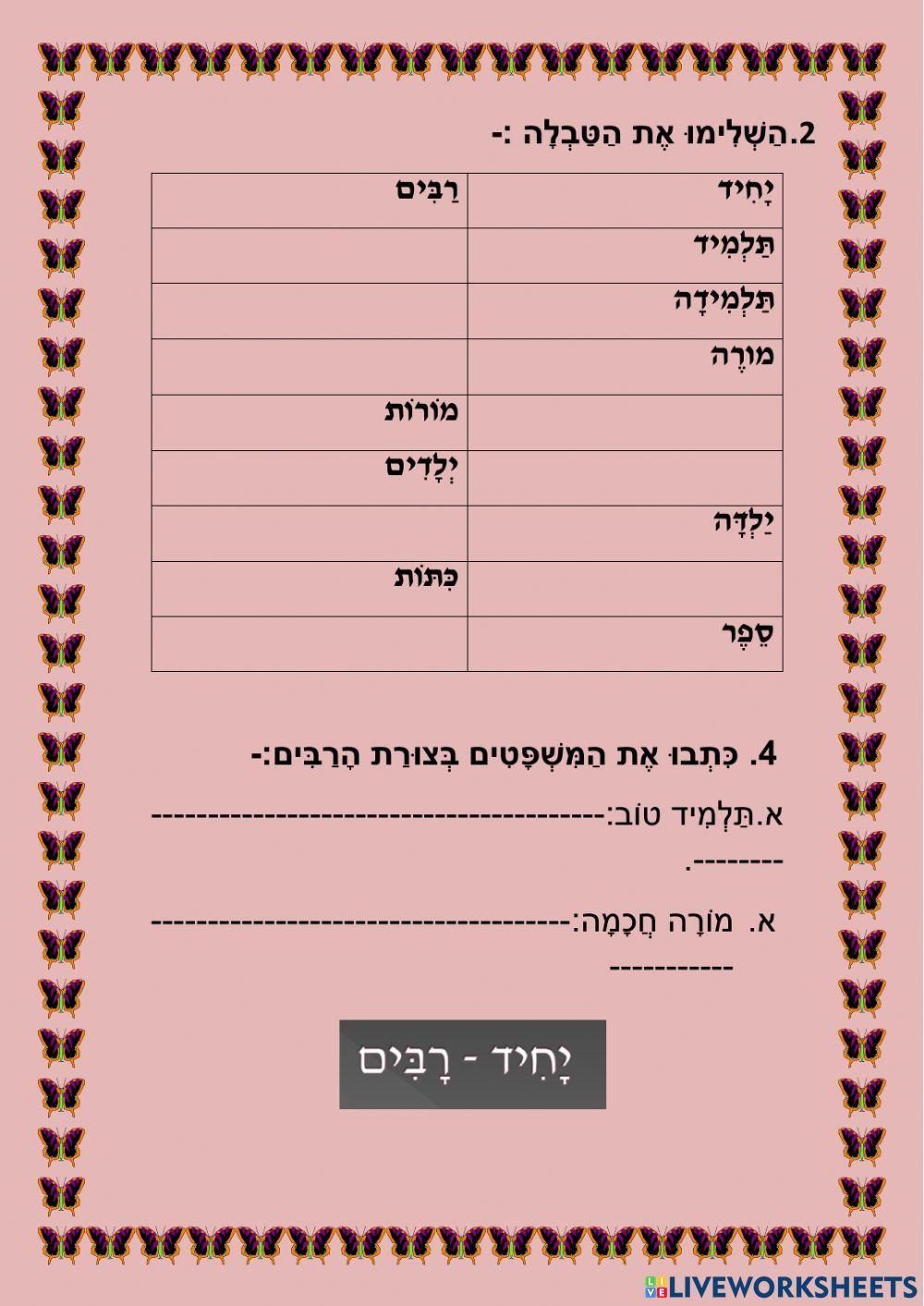 זכר נקבה - יחיד רבים