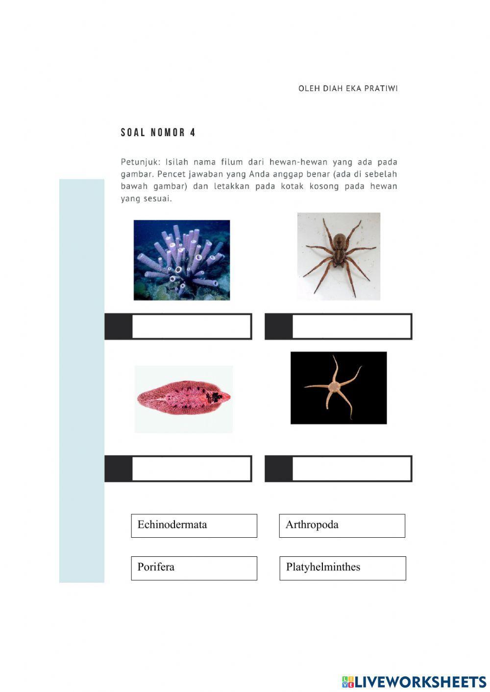 LKPD Animalia (Invertebrata) Kelas X