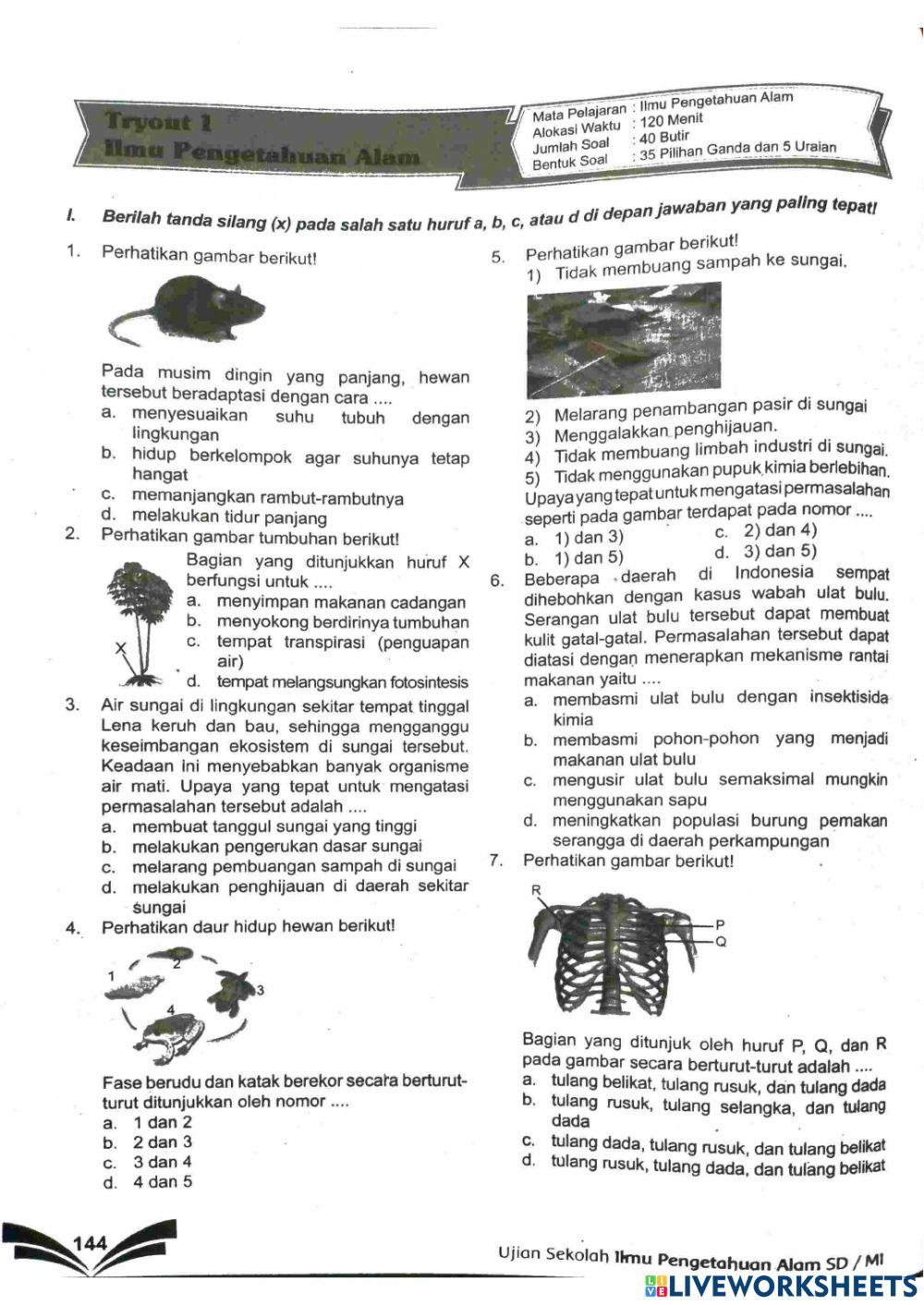 Suwisono sdn depok 2