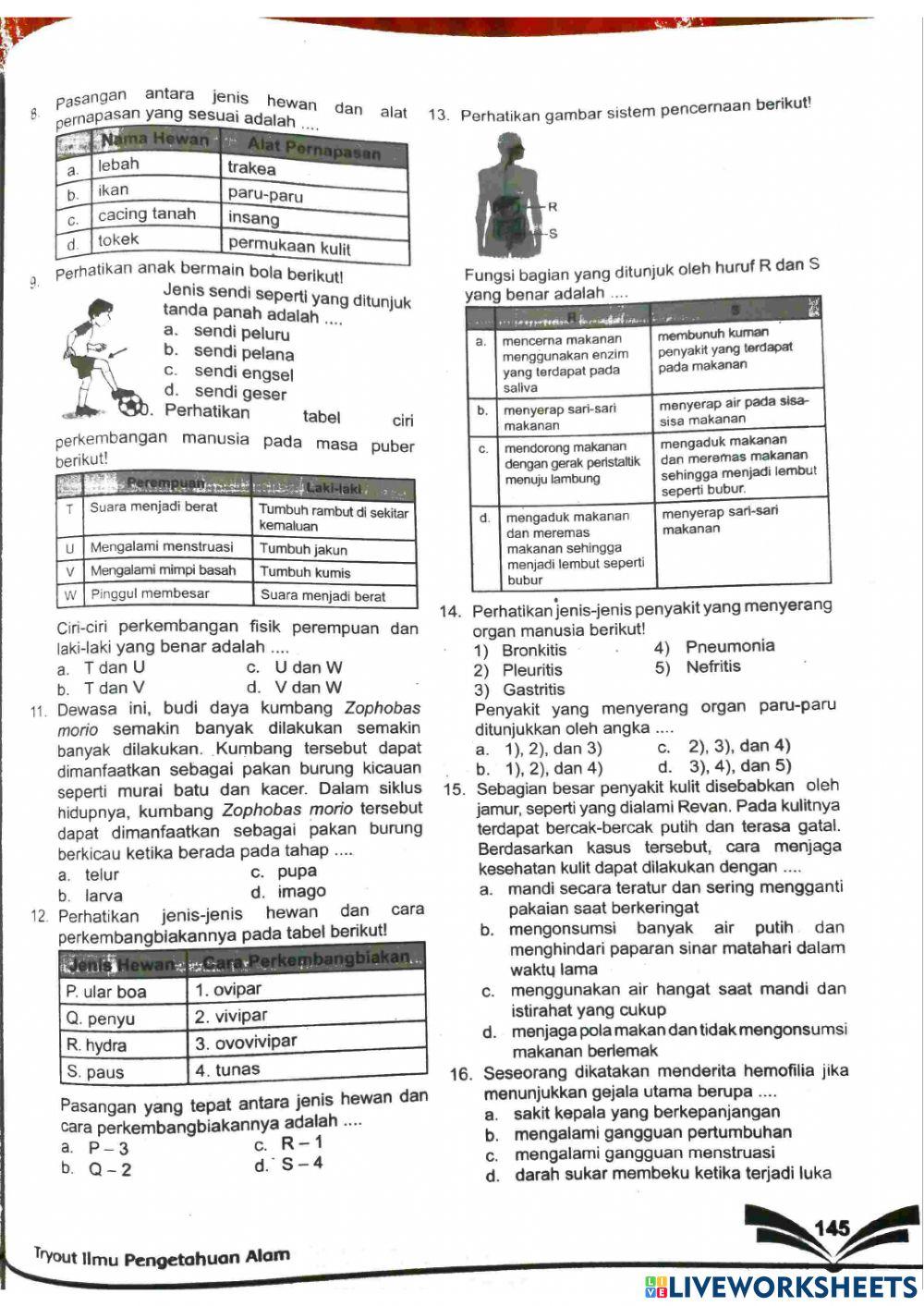 Suwisono sdn depok 2