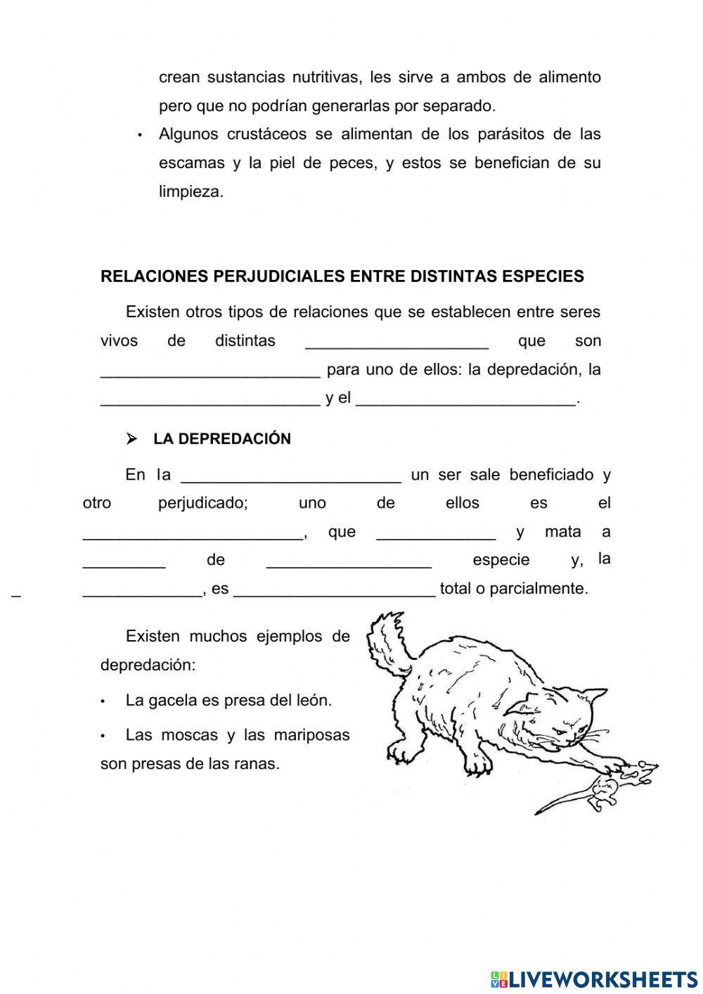 Las relaciones entre los seres vivos de distintas especies
