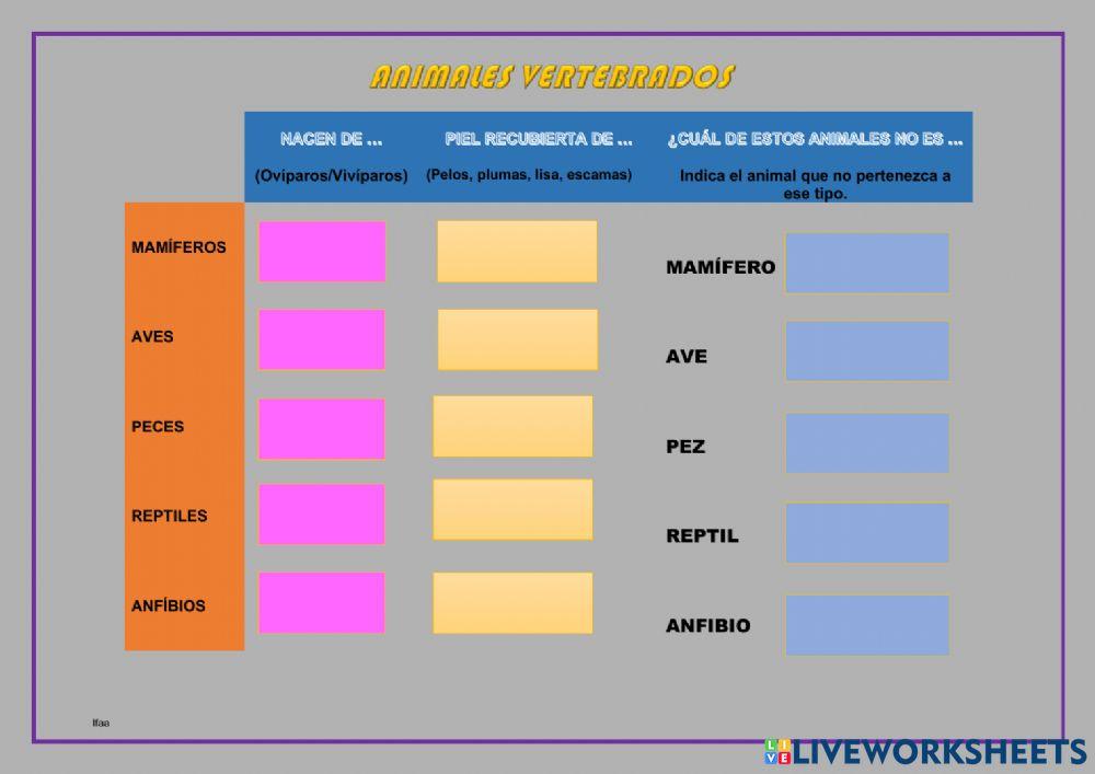 Animales vertebrados