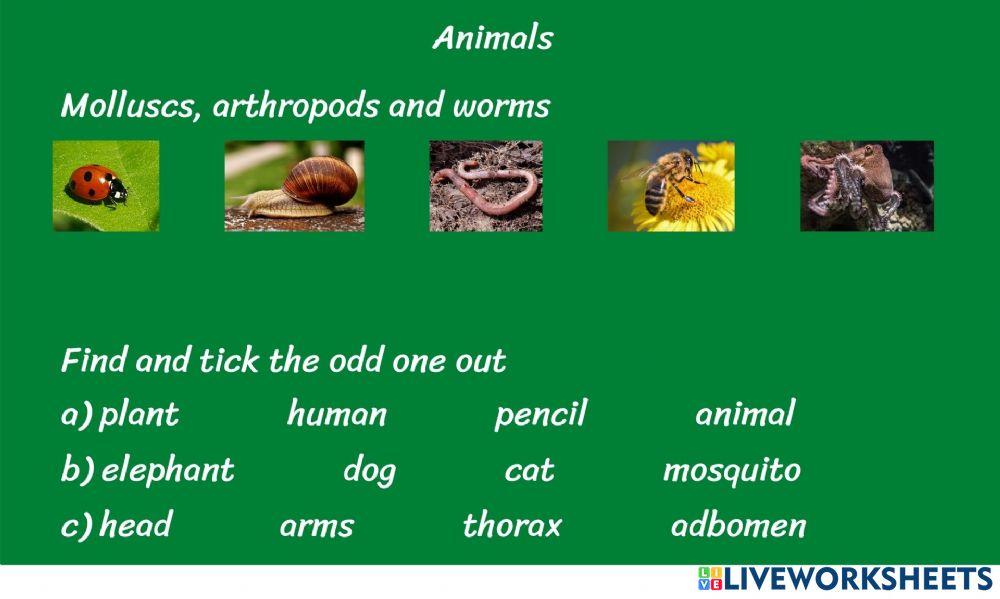science-plants-and-animals-game-3-worksheet-live-worksheets