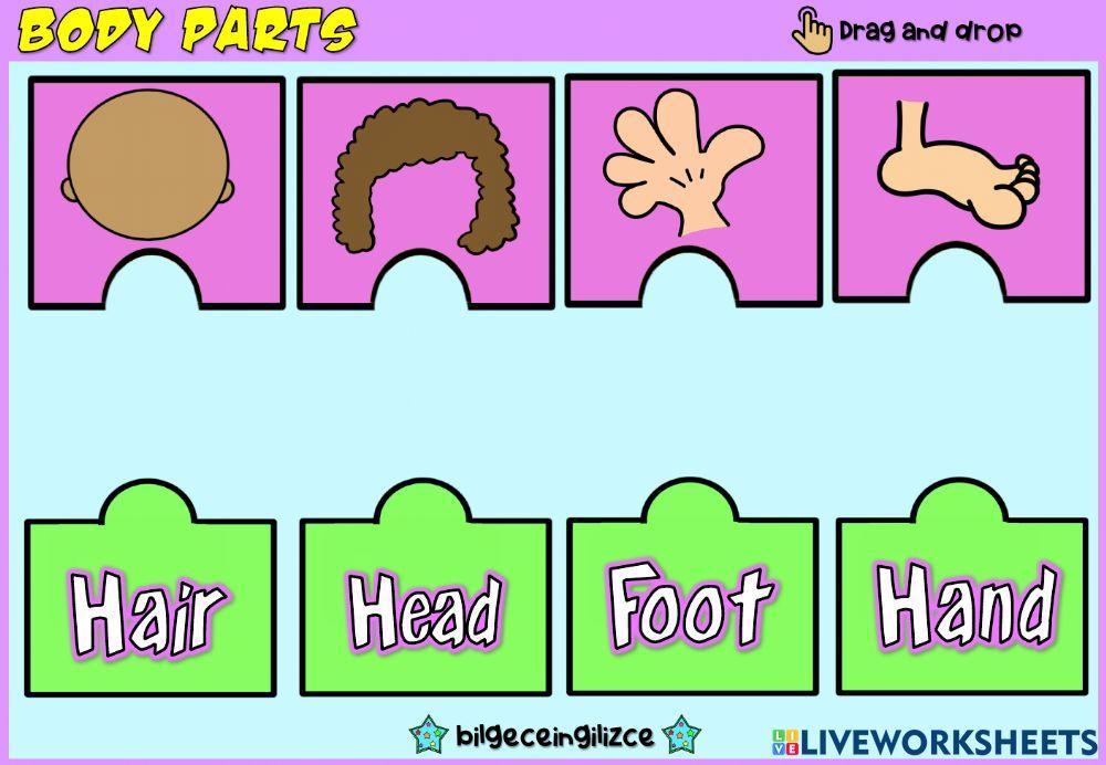 Body Parts (Puzzle Match)