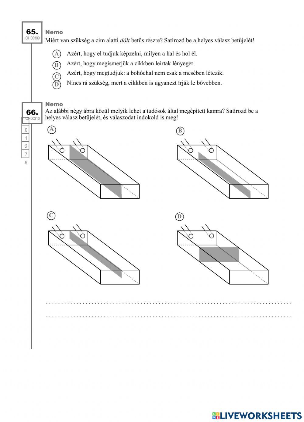 Kompetenciamérés magyar