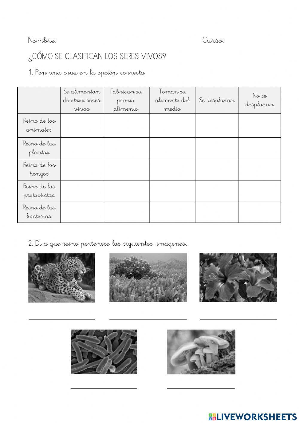 Clasificación de los Seres vivos
