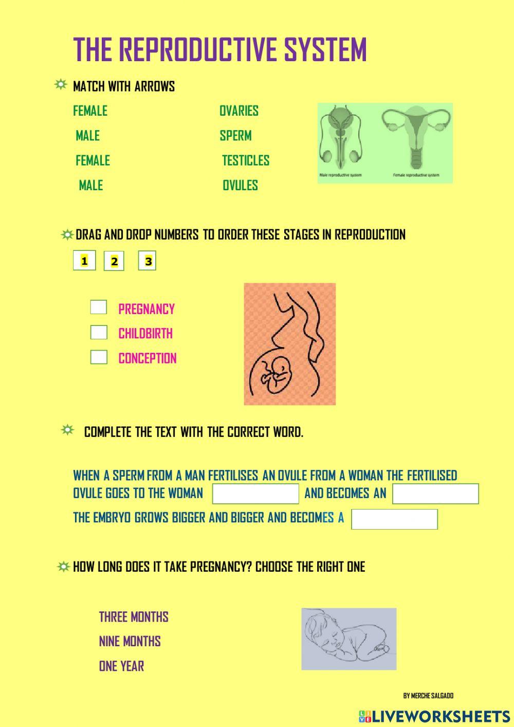 Human reproduction Human reproduction