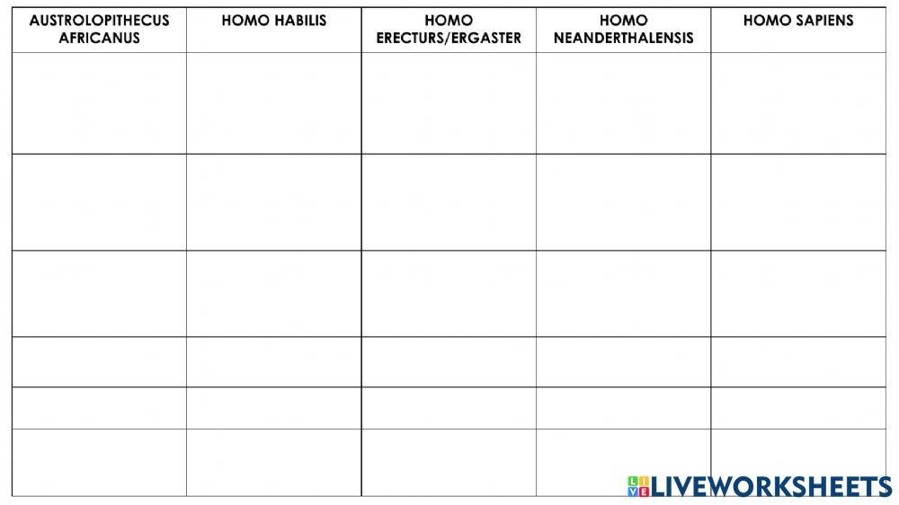 Prehistòria-Del caos a l'ordre