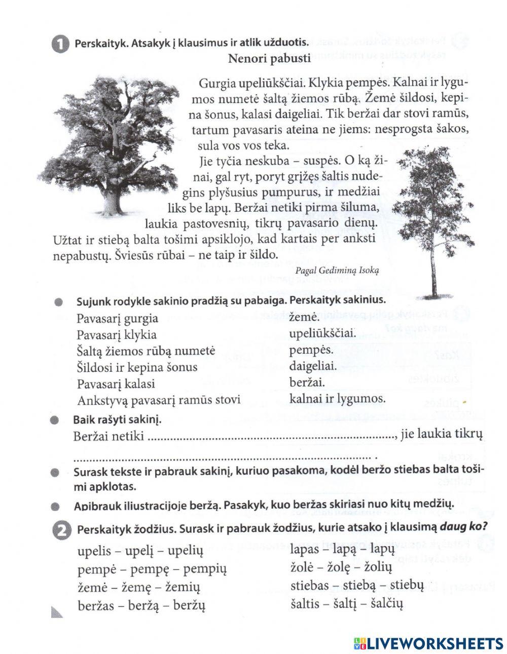 Teksto analizė-daug ko-minkštumo ženklas