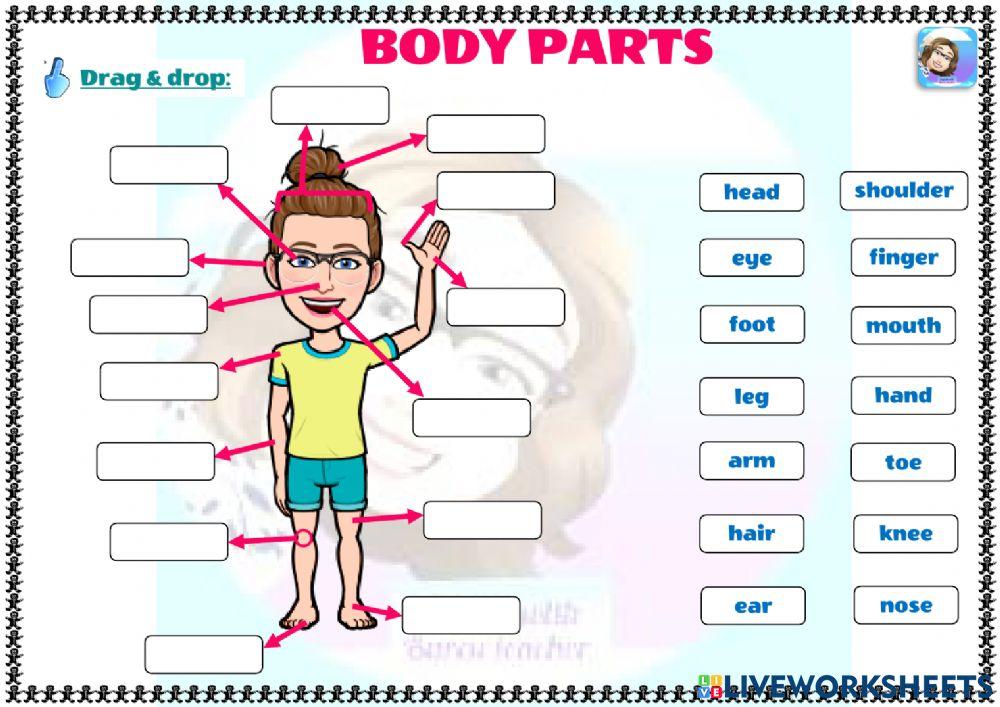 Grade 2-Body Parts-Drag-drop Grade 2-Body Parts-Drag-drop