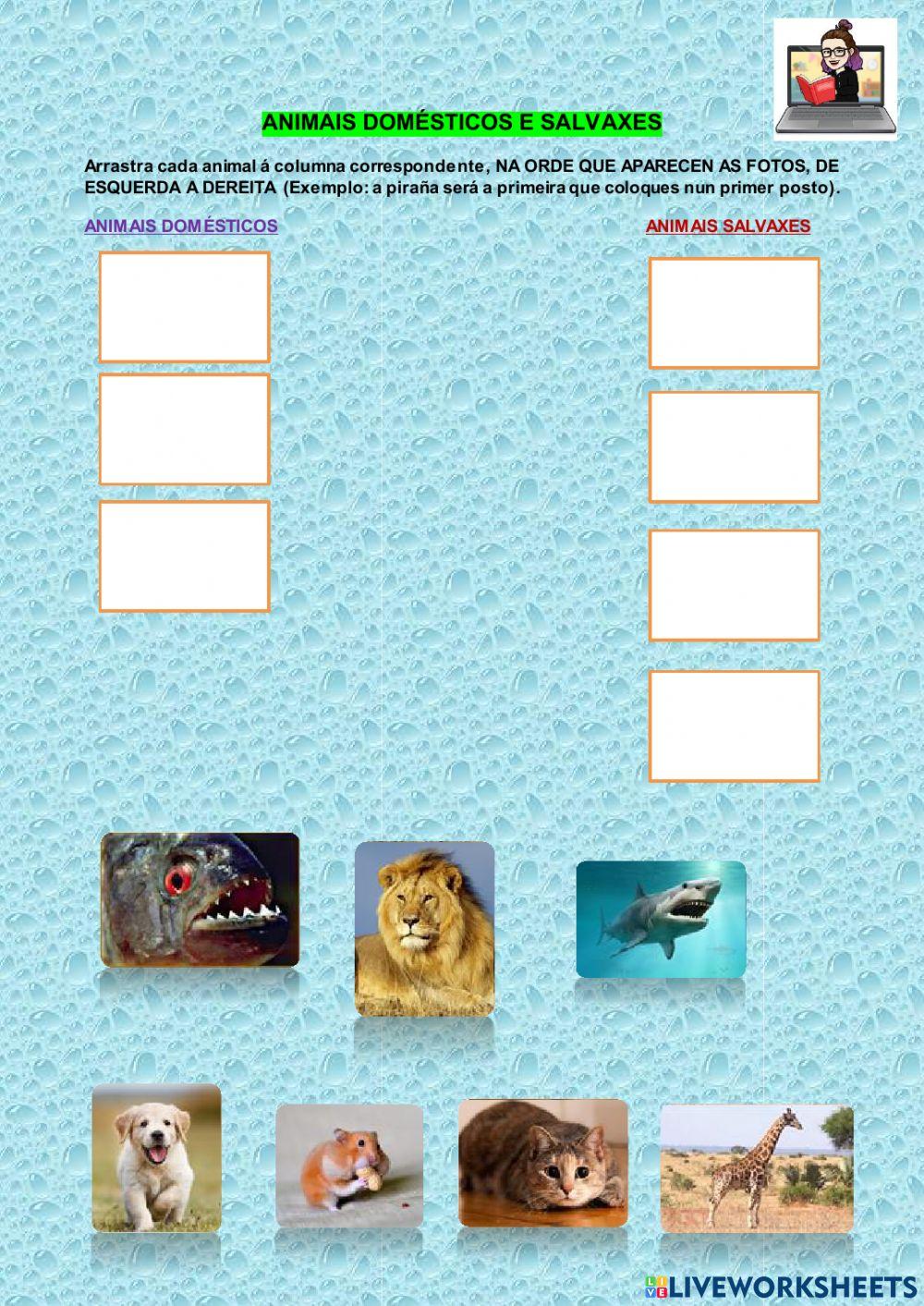 Animais salvaxes e domésticos