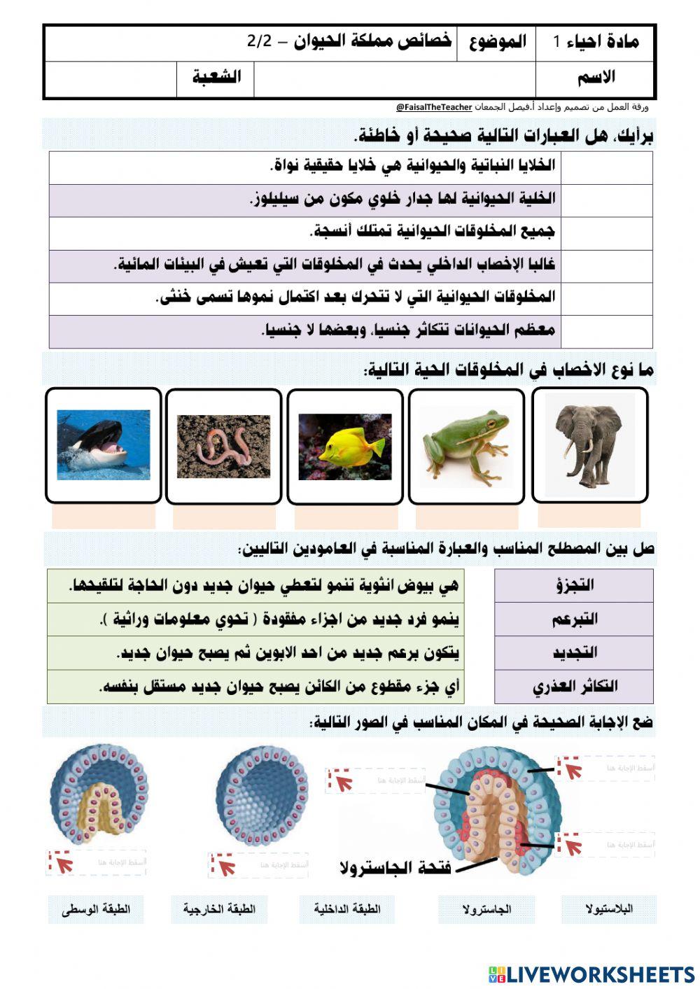 خصائص مملكة الحيوانات