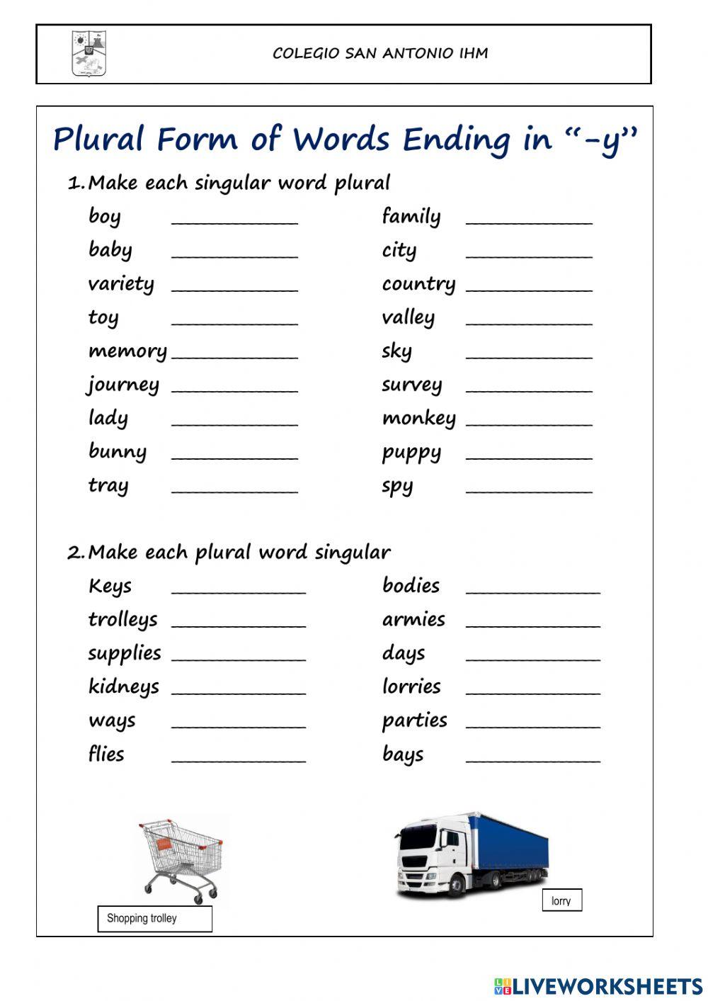 Plural Form Of Nouns Ending In Y Worksheets