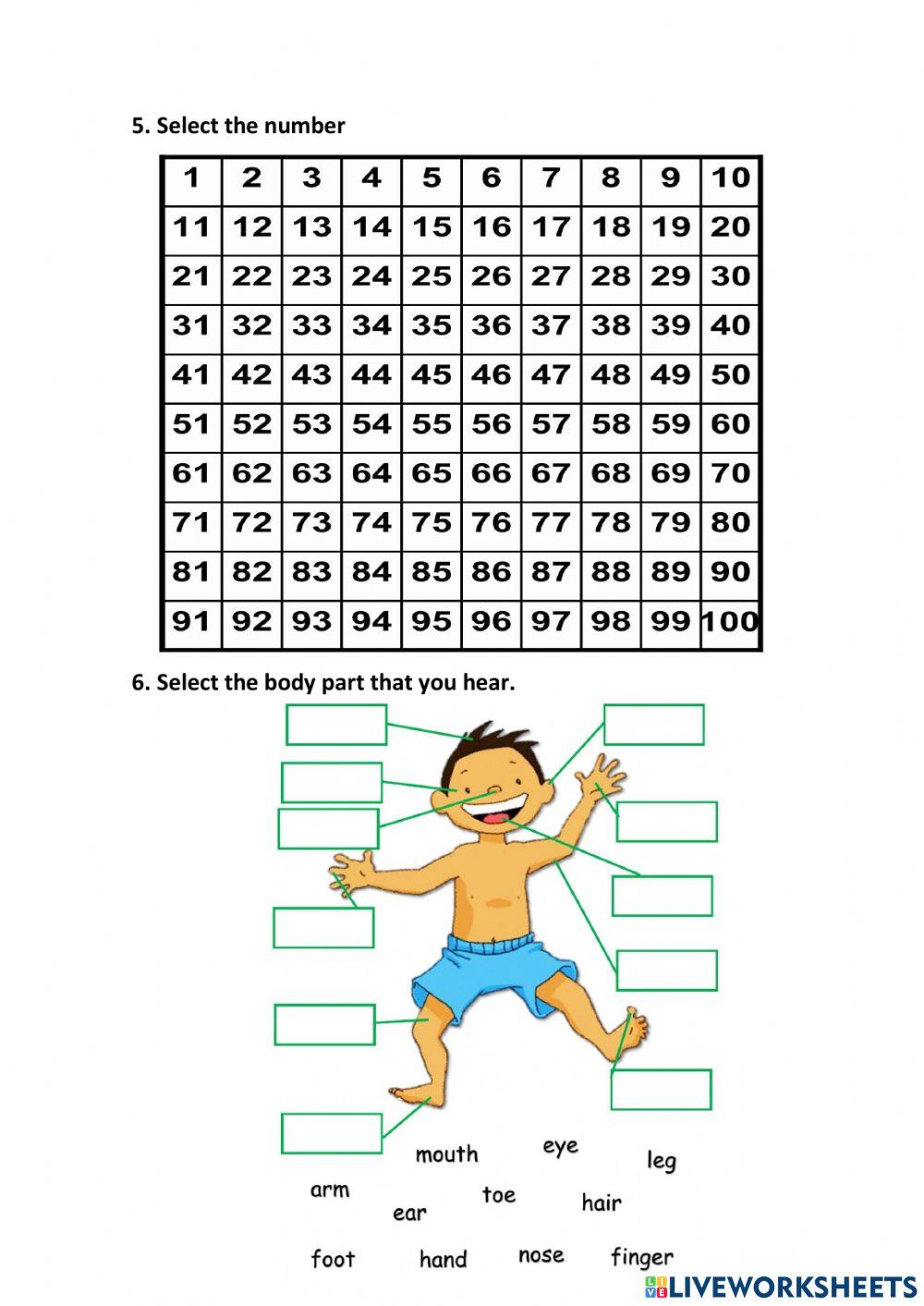PCA PRIMERO DE BÀSICA