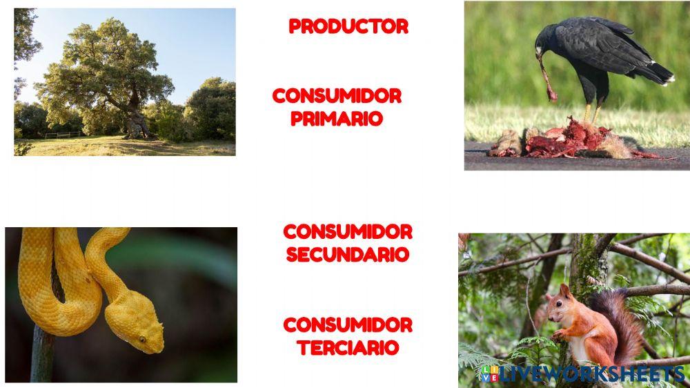Productores