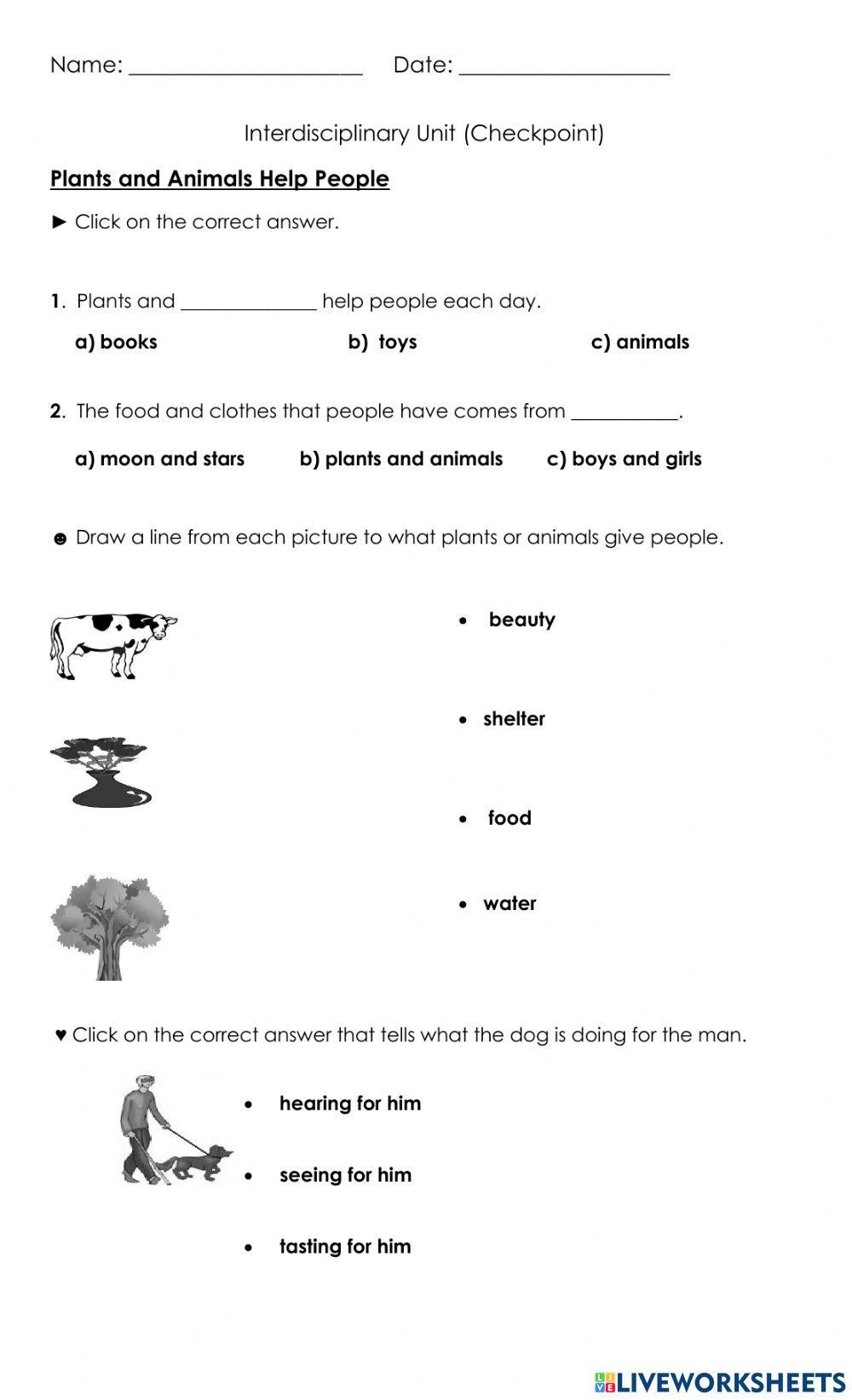 Plant & Animal Products