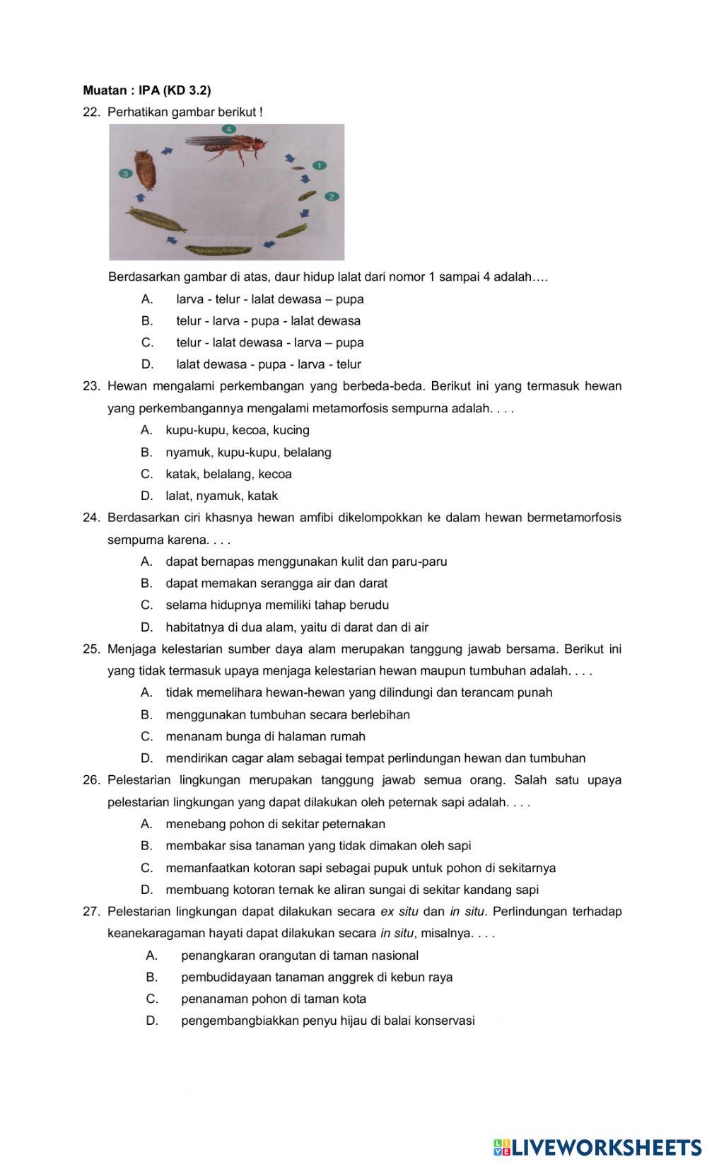 PTS genap matematika kelas 4