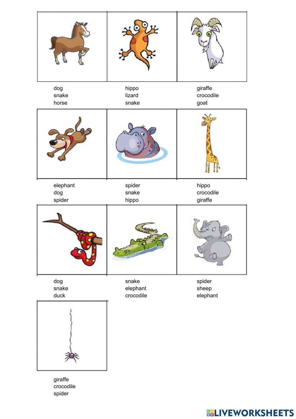 Starters Vocabulary 2