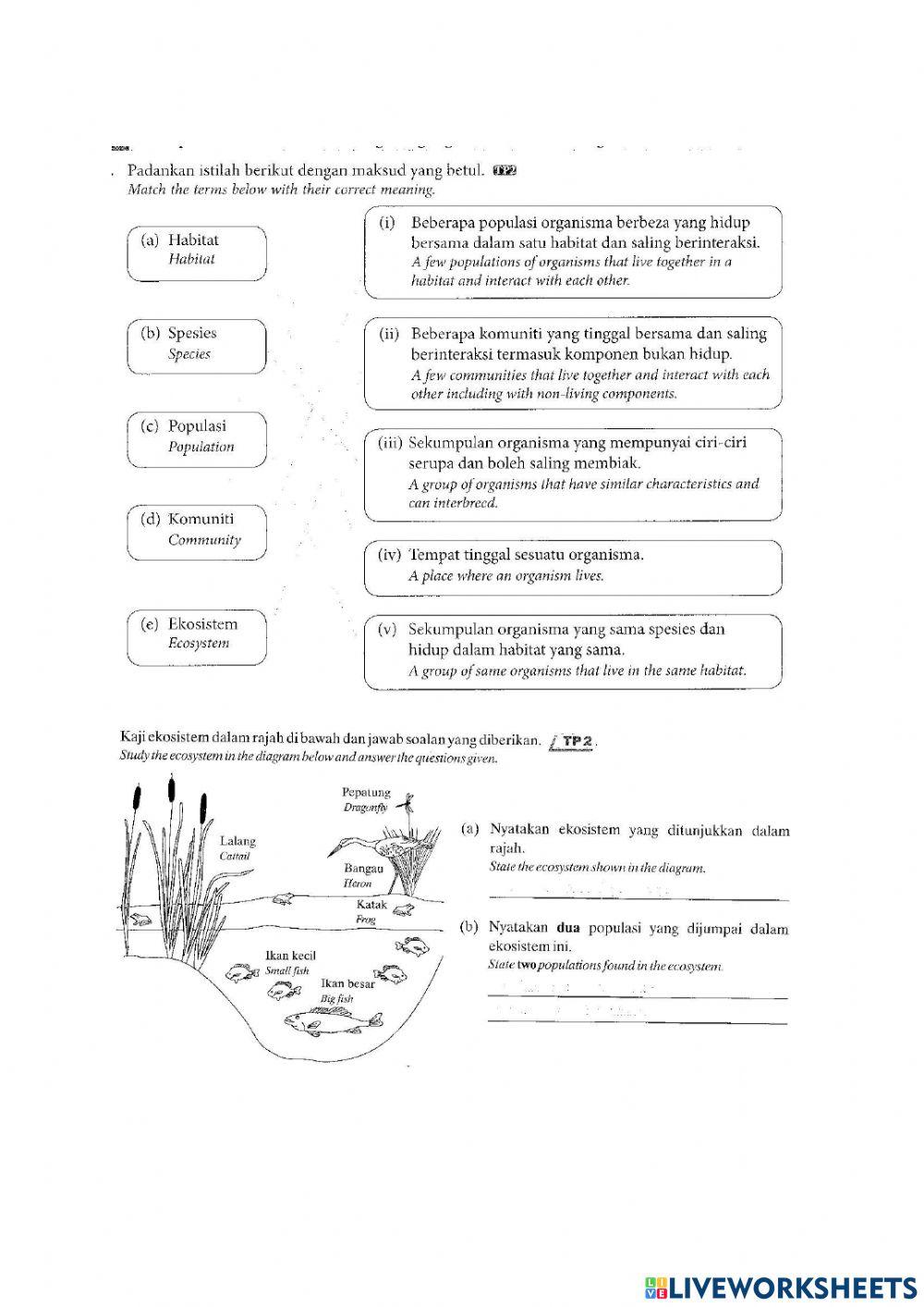 Interdependence and Interaction among Organism, between Organism and