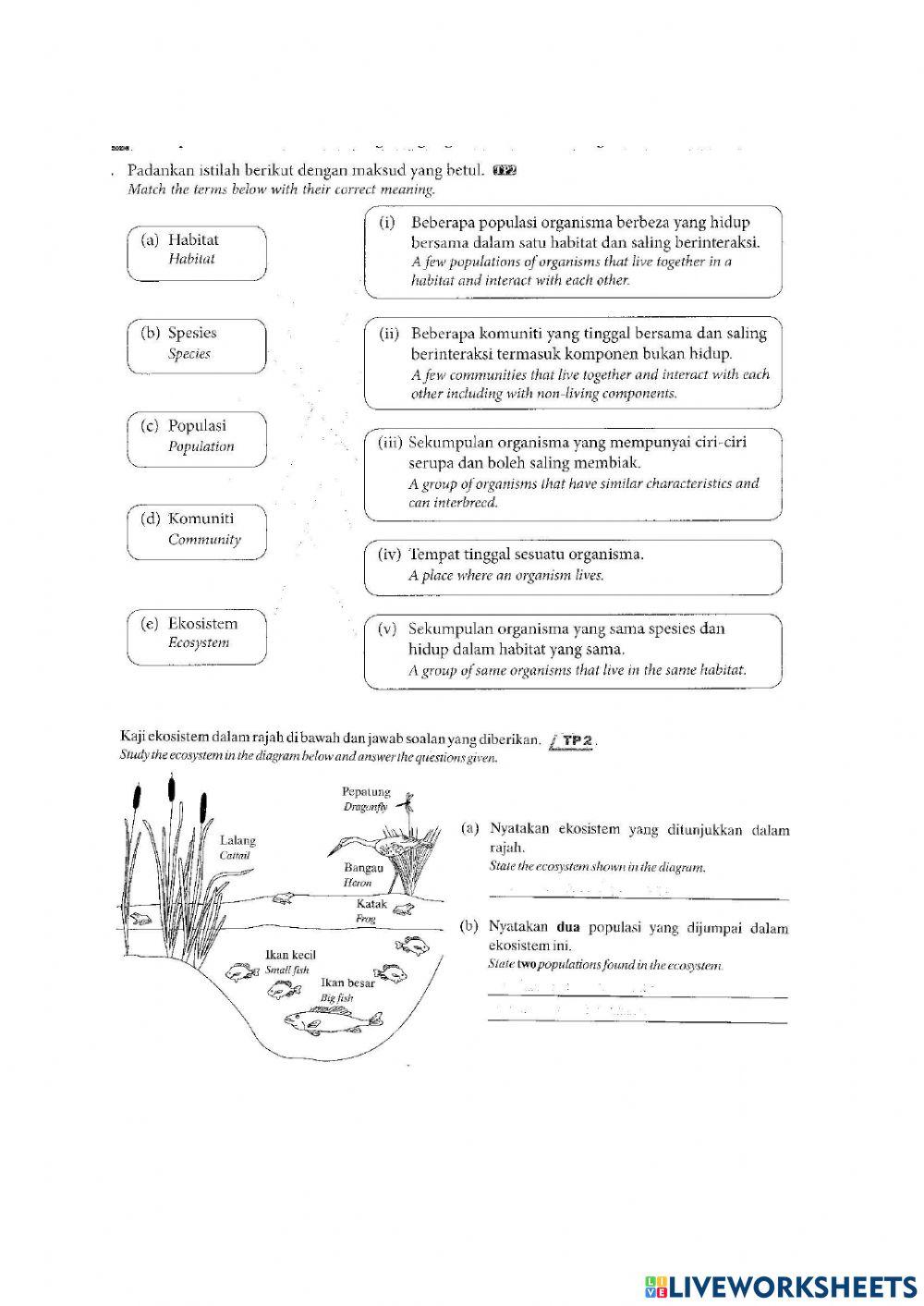 Interdependence and Interaction among Organism, between Organism and with Environment