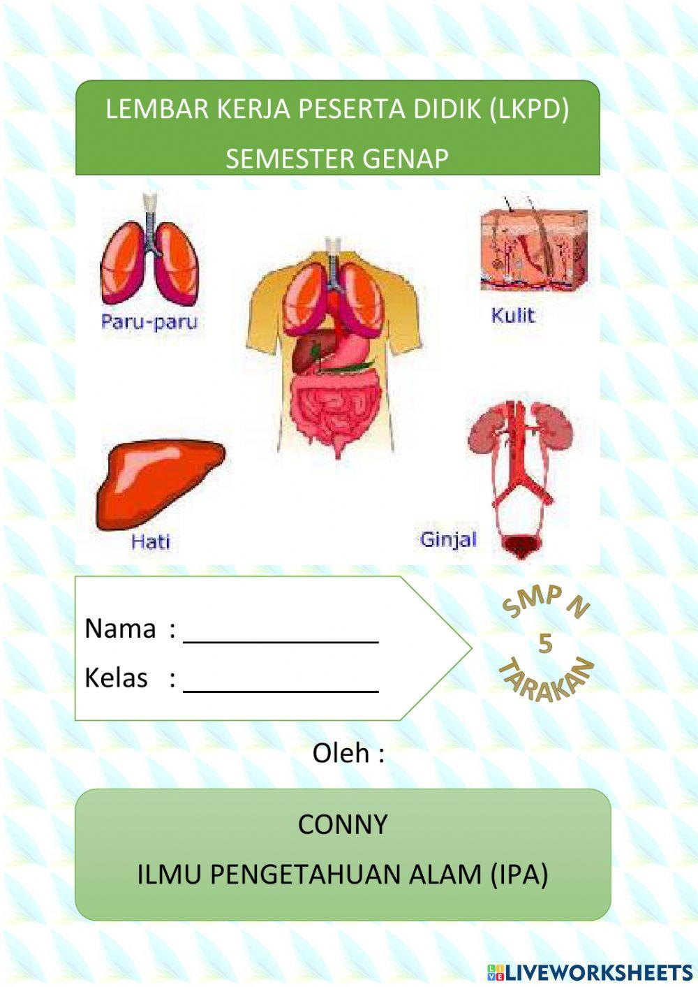 Sistem ekskresi ginjal pada manusia