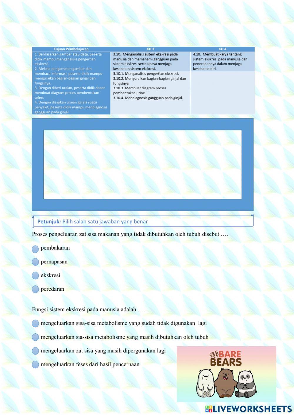 Sistem ekskresi ginjal pada manusia