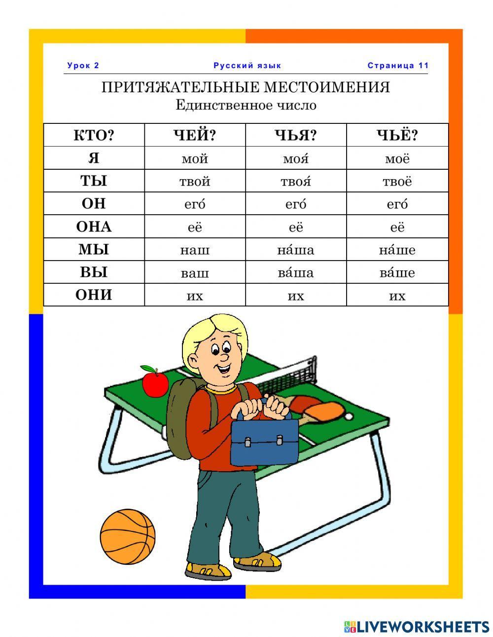 Притяжательные местоимения