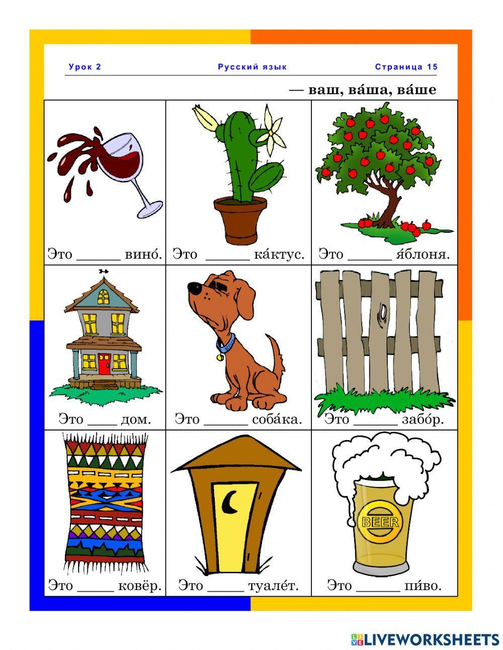 Притяжательные местоимения