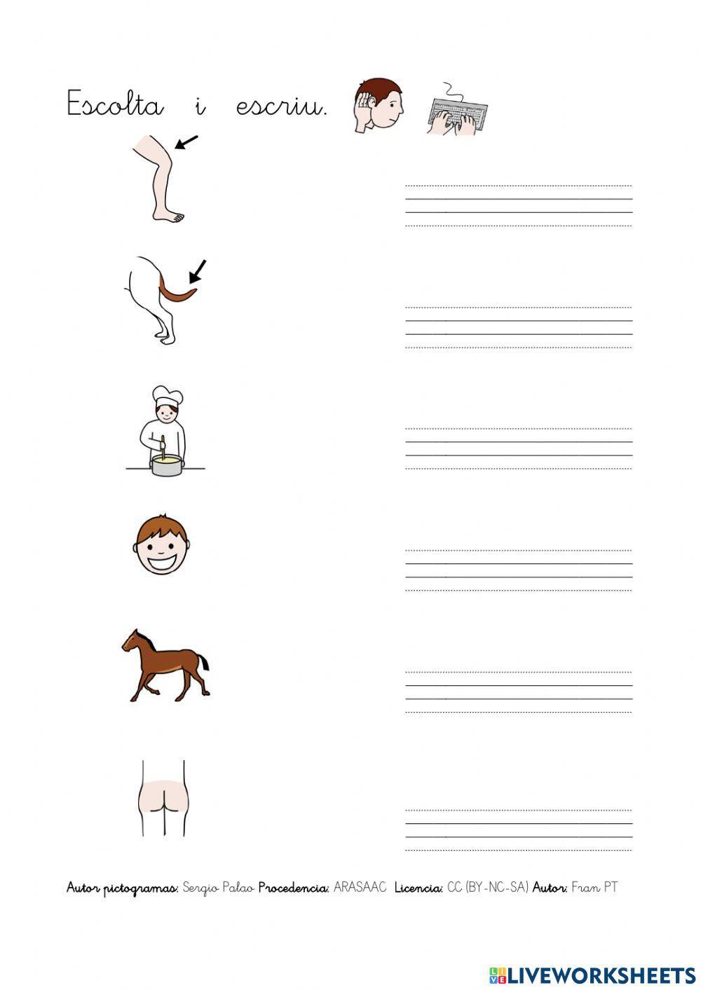 Dictat paraules amb c-q.