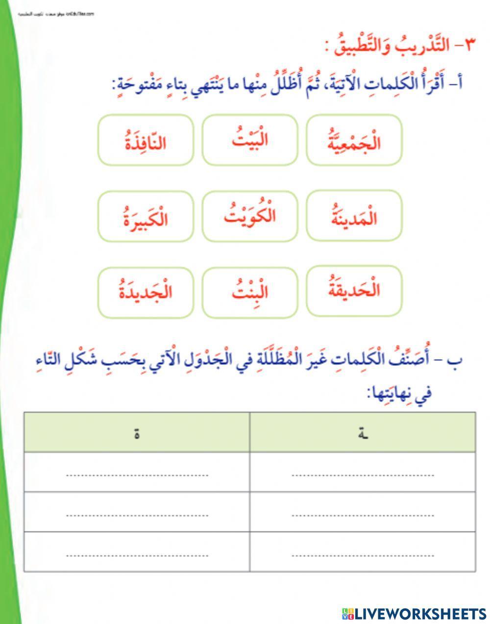 التاء المربوطة