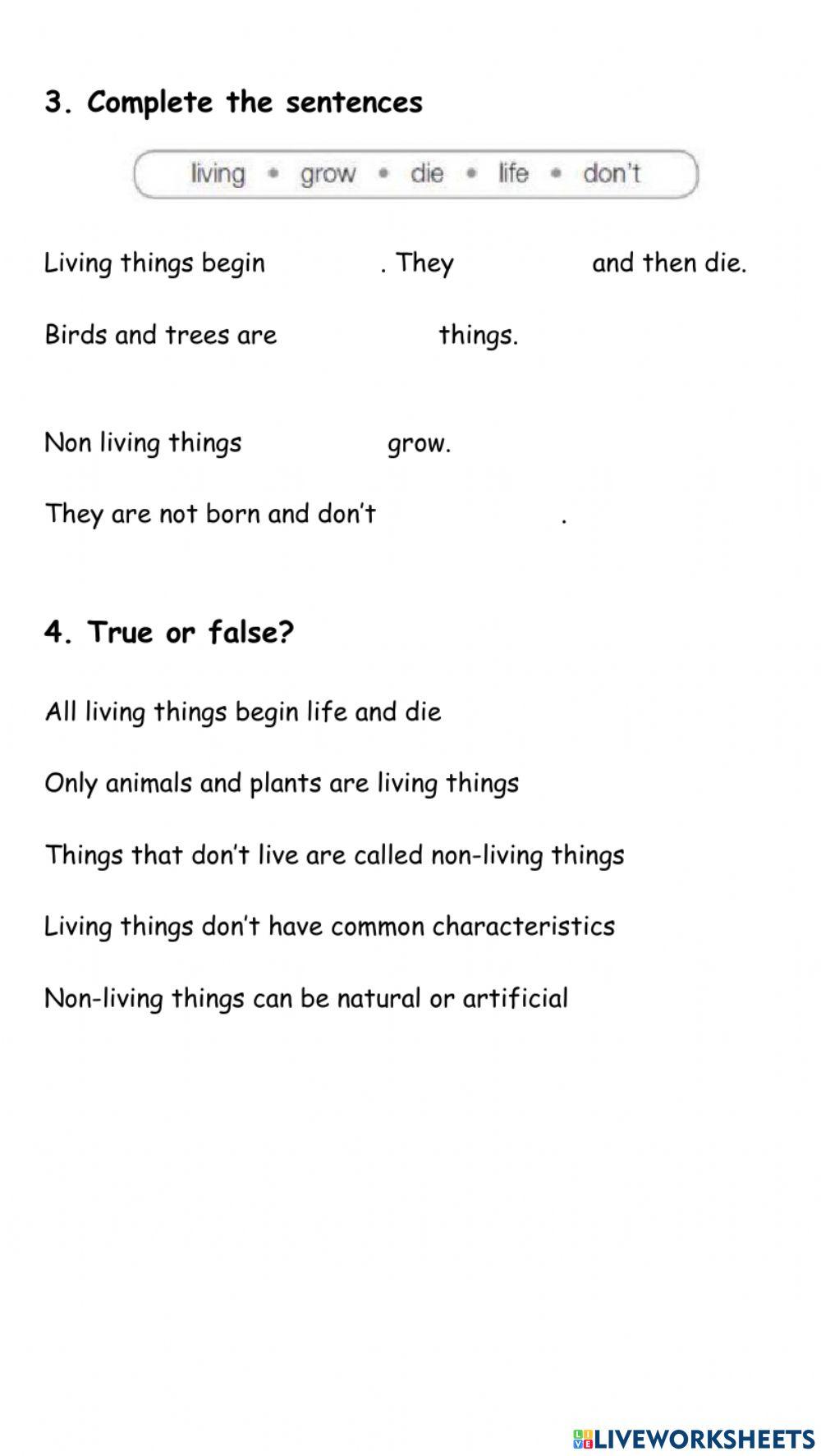 Primary 4 Test Living things