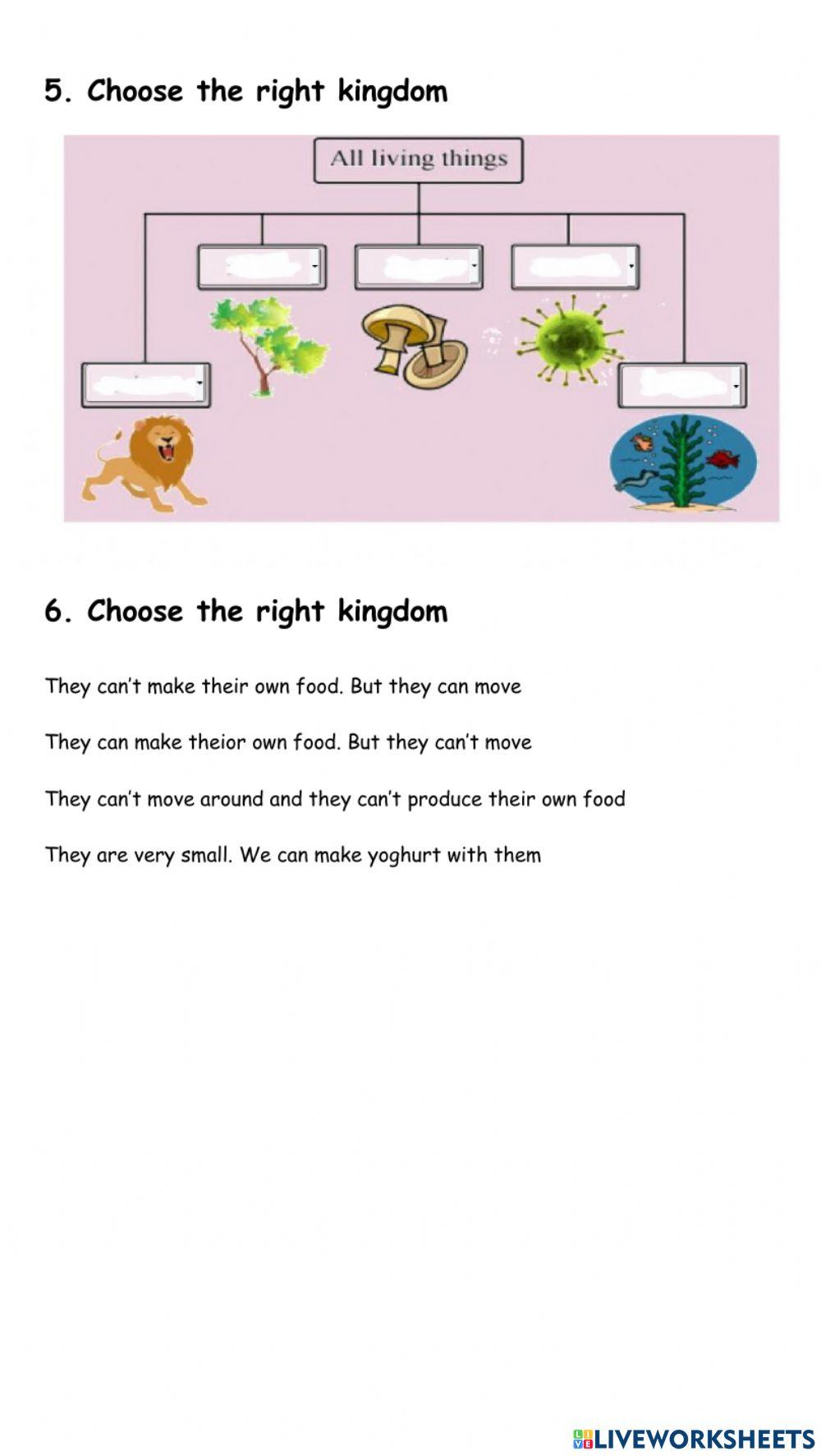 Primary 4 Test Living things