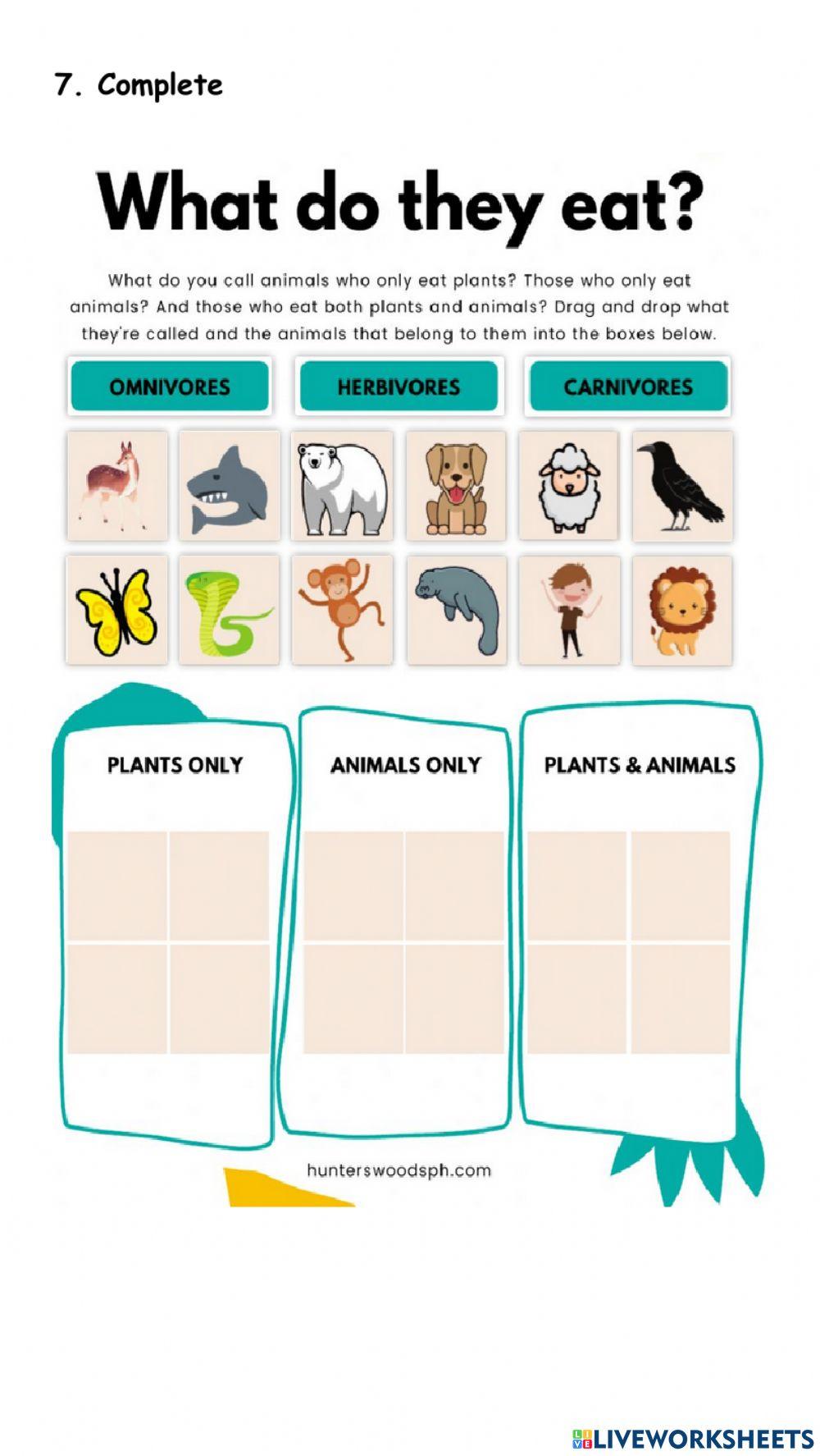 Primary 4 Test Living things