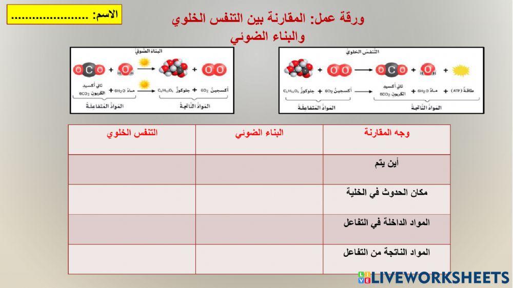 مقارنة بين التنفس الخلوي والبناء الضوئي