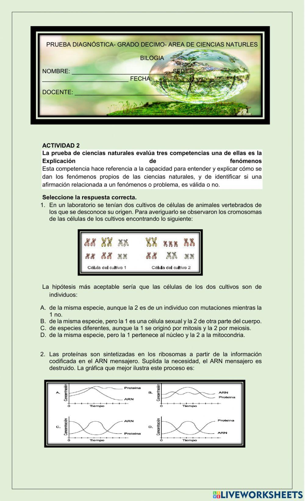 Variabilidad Ge… | Free Interactive Worksheets | 794757, image size:1000x1643