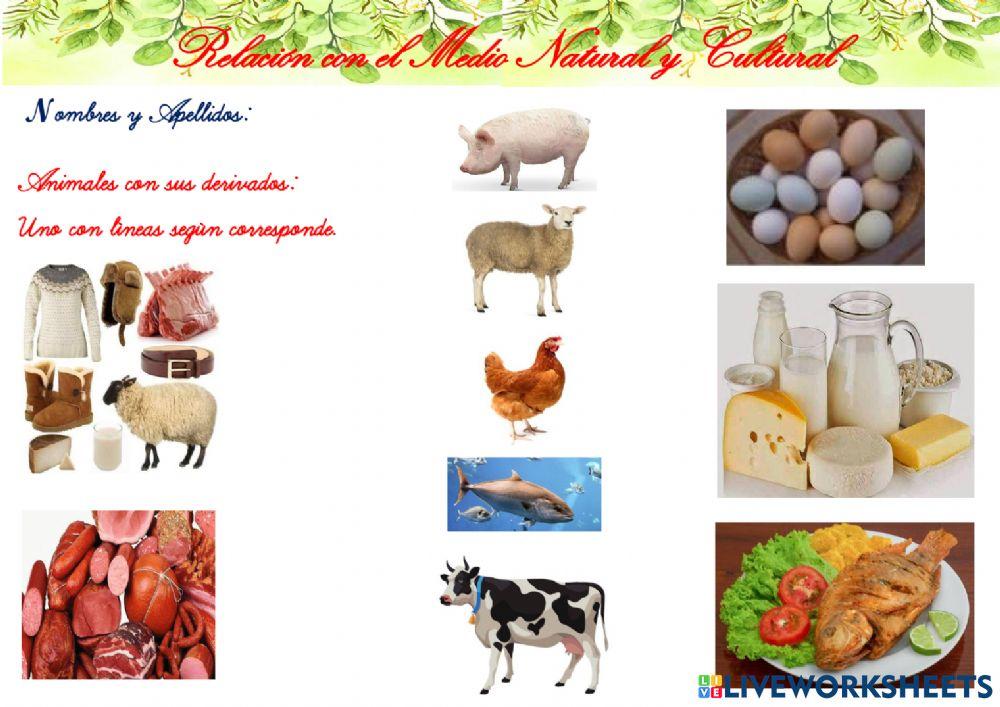 Plantas y sus derivados