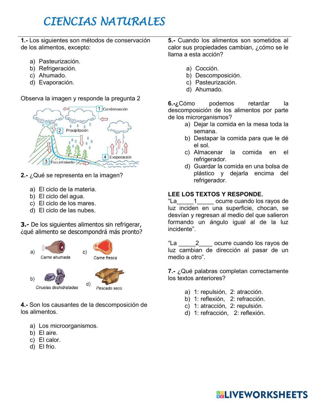 Evaluación Segundo Trimestre