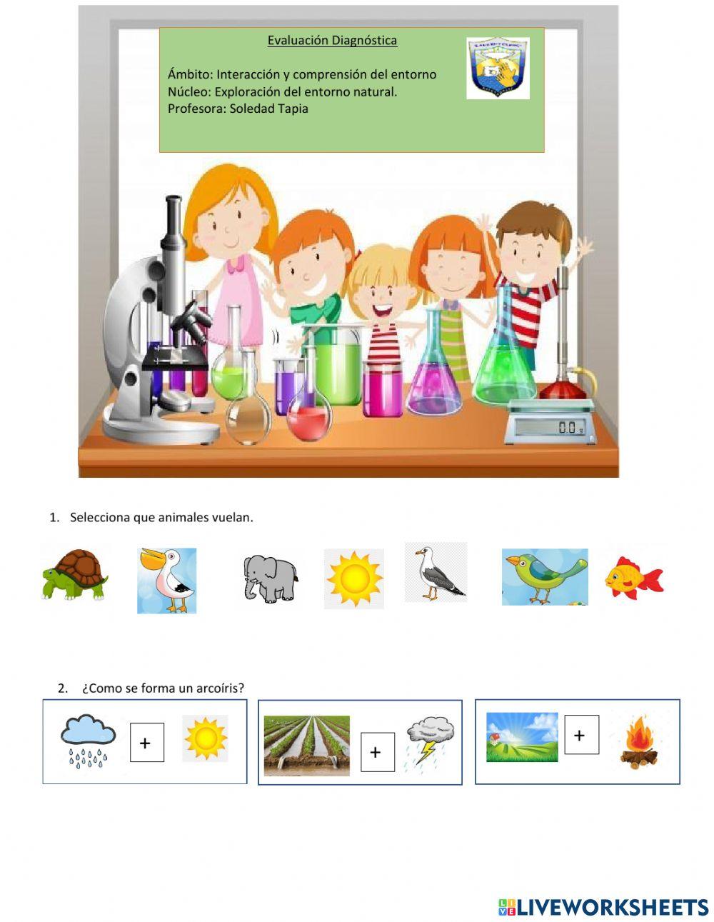 Evaluación Ciencias Transición