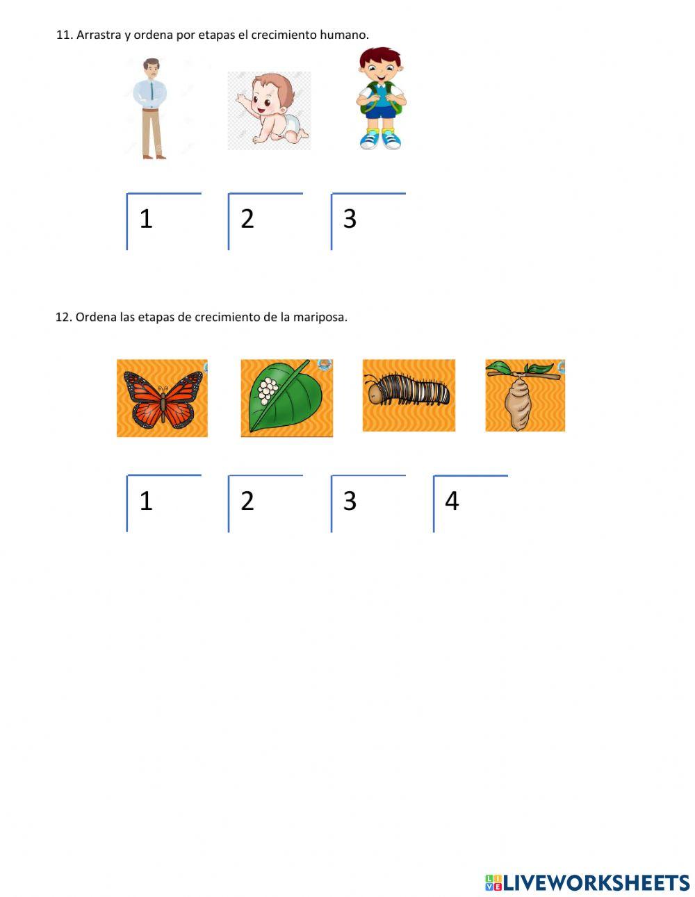 Evaluación Ciencias Transición