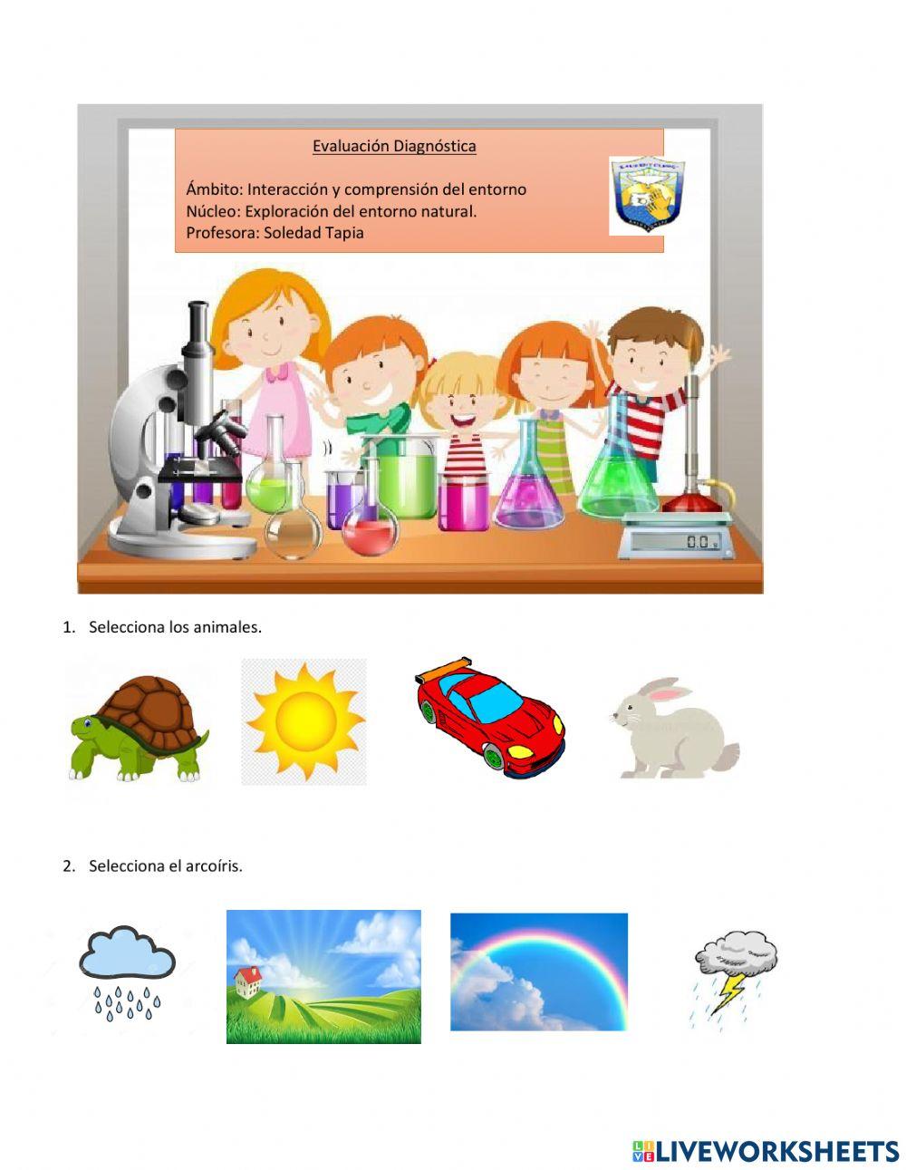 Evaluación Ciencias Medio Mayor