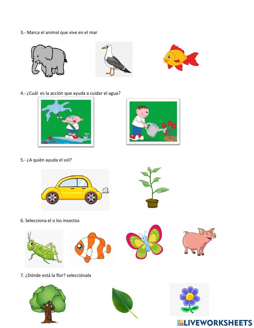 Evaluación Ciencias Medio Mayor