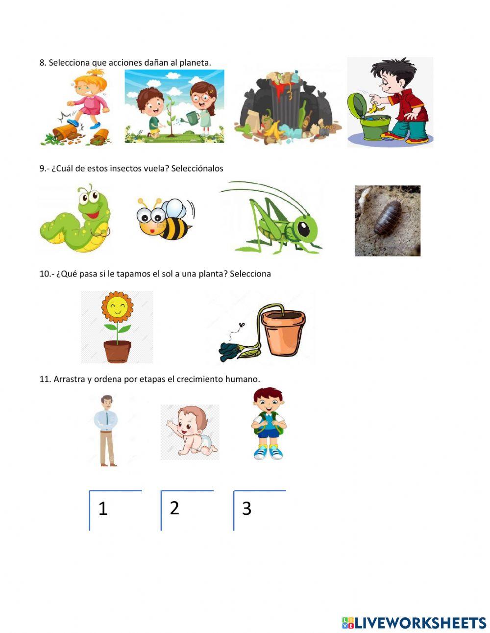 Evaluación Ciencias Medio Mayor